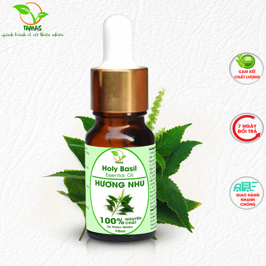 Tinh dầu Hương Nhu nguyên chất chai 10ml/ 30ml, tinh dầu thơm phòng, khử mùi, khử khuẩn, giảm rụng tóc, kích thích mọc tóc, chăm sóc da