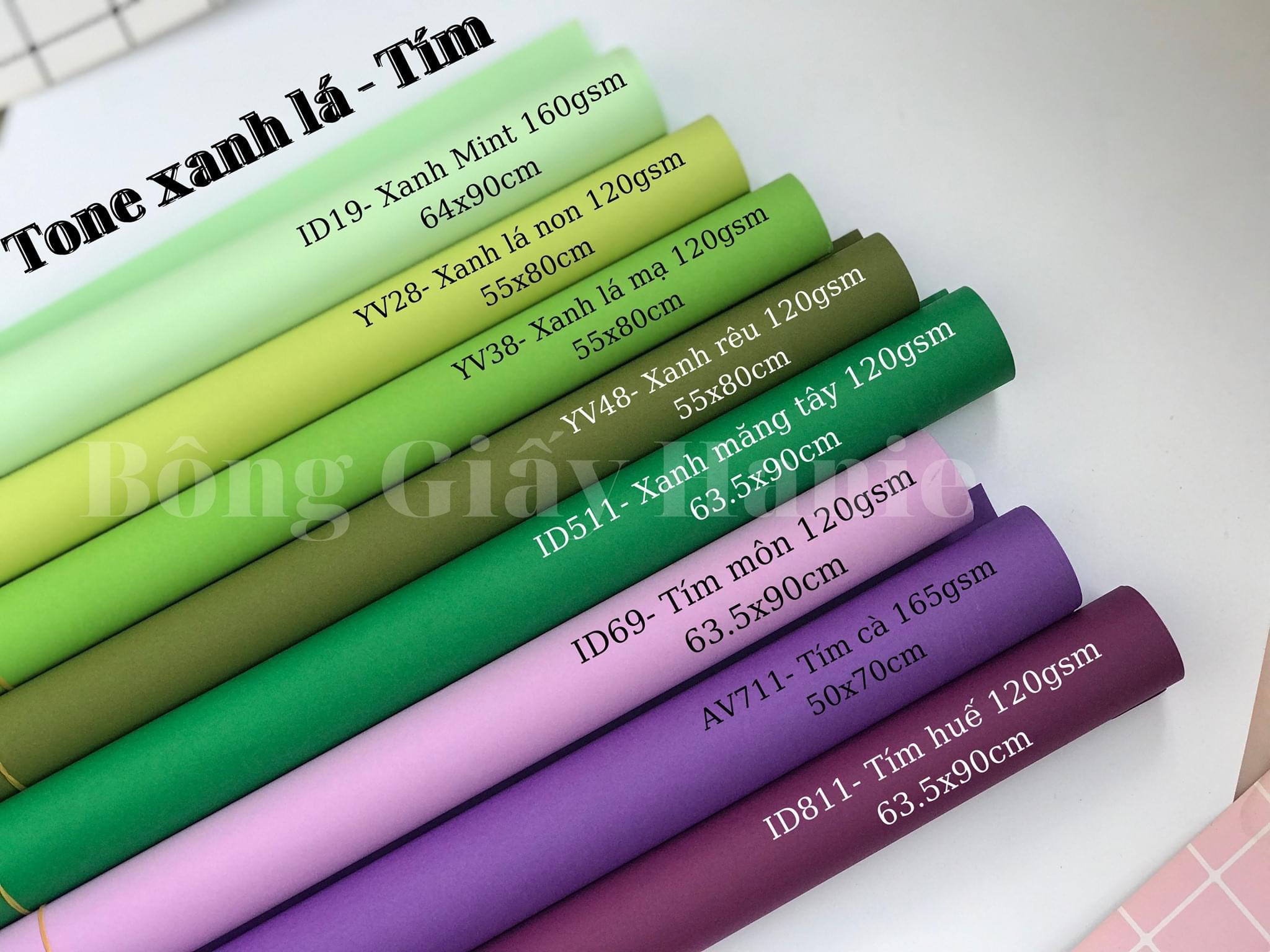 Giấy mỹ thuật tone màu xanh lá- tím