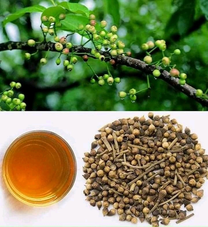 Nụ vối khô nguyên chất 1kg