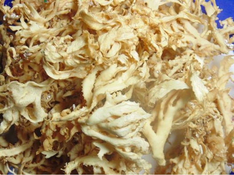 500g Rong Chân Vịt Rau Câu Chân Vịt Khô Đặc Sản Lý Sơn Nấu Chè Rau Câu