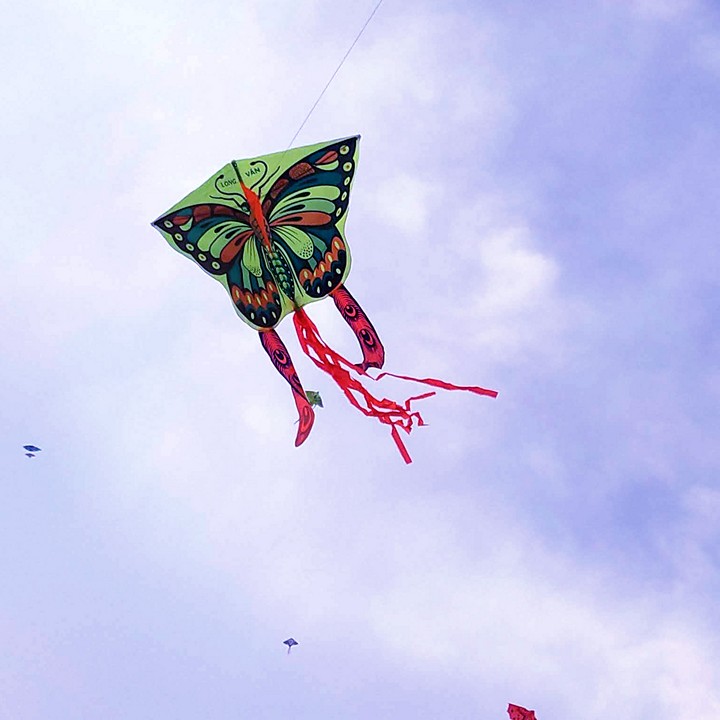 Diều thả hình bướm nhỏ, tặng kèm dây 60m