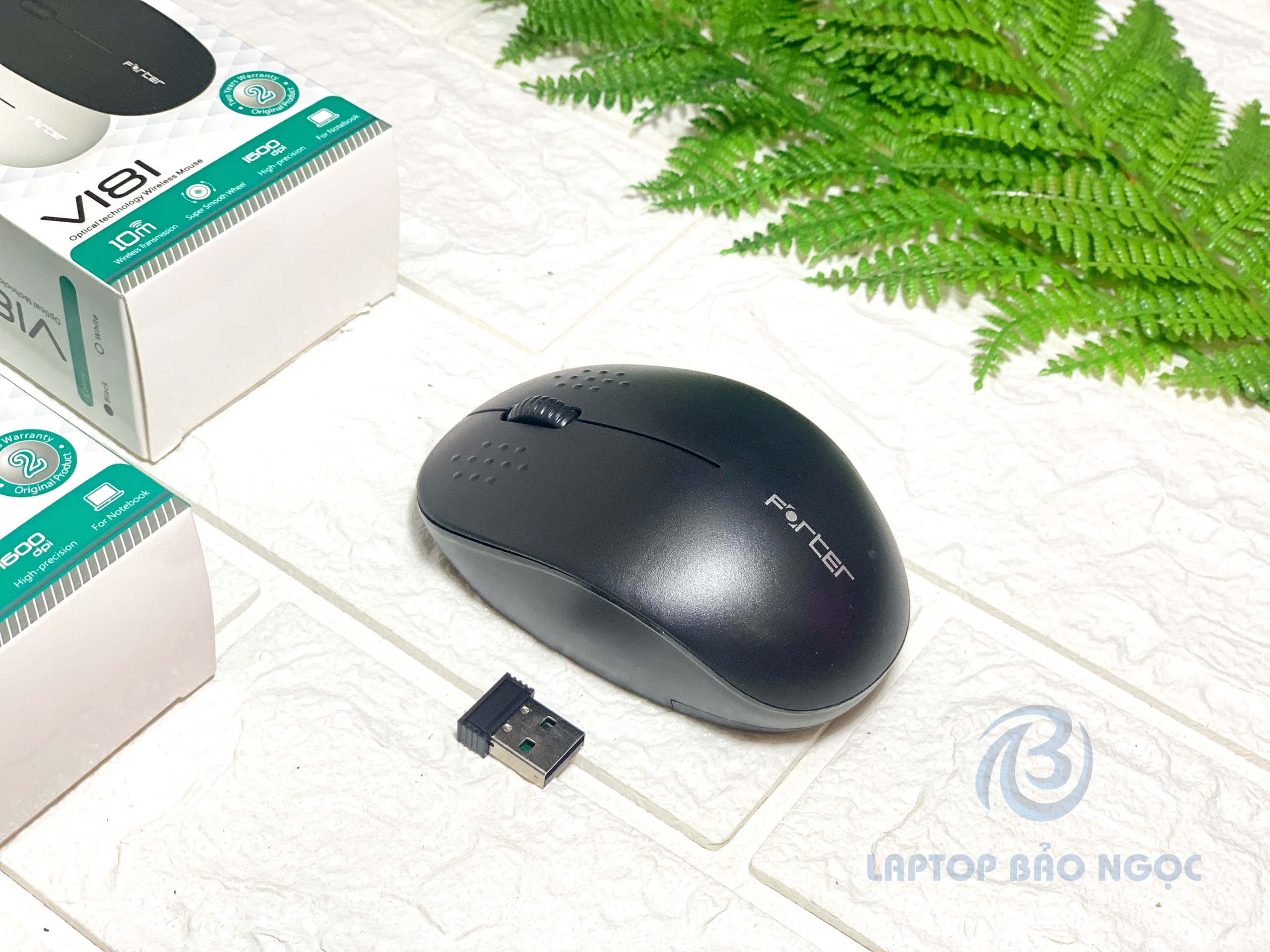 Chuột không dây laptop forter v181 - mouse laptop