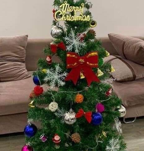 Cây thông noel cao m5