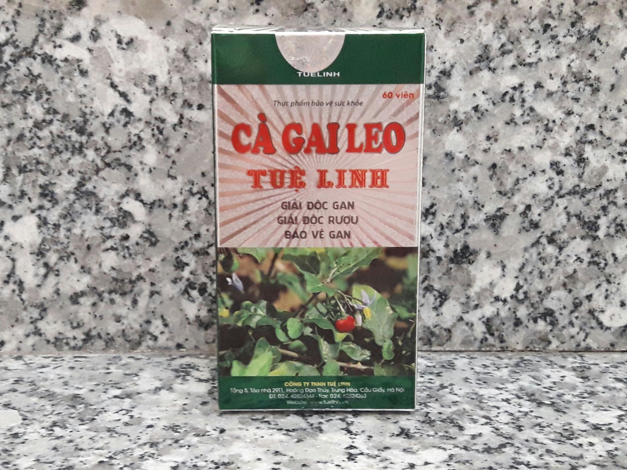 Cà gai leo tuệ linh