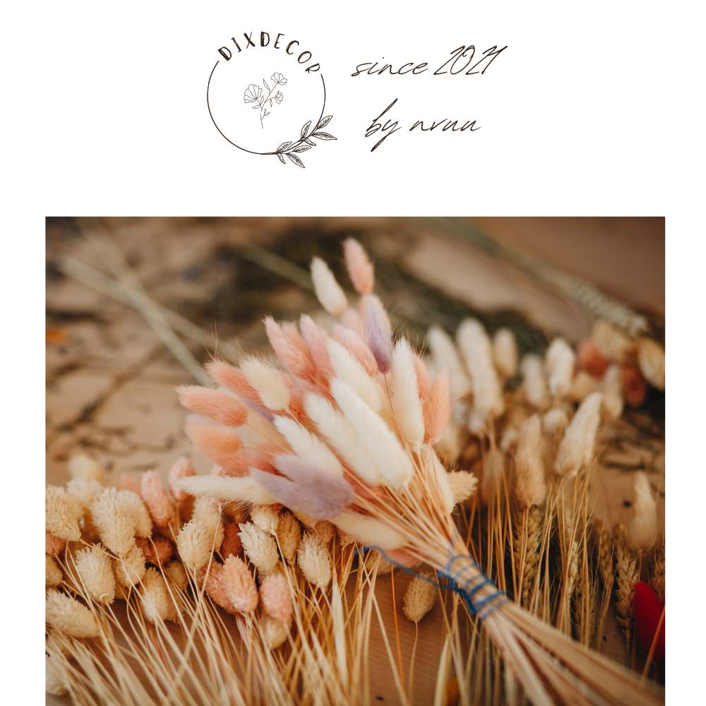 Hoa đuôi thỏ khô bunny tails - cỏ đuôi thỏ decor - hoa trang trí