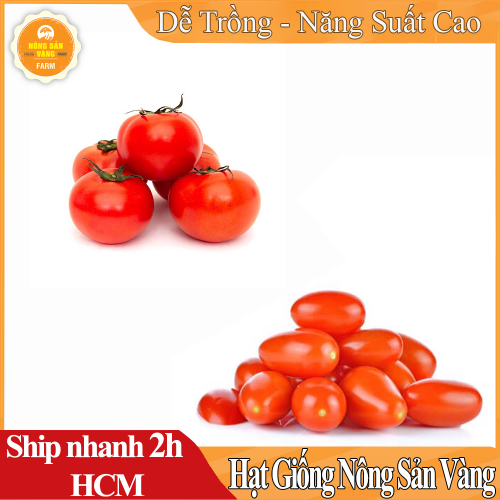Combo 2 Hạt Giống Cà Chua (Cà chua Cherry Đỏ- Cà Chua Bi Đỏ Lùn) Sinh Trưởng Khỏe, Hàm Lượng Dinh Dưỡng Cao - Nông Sản Vàng