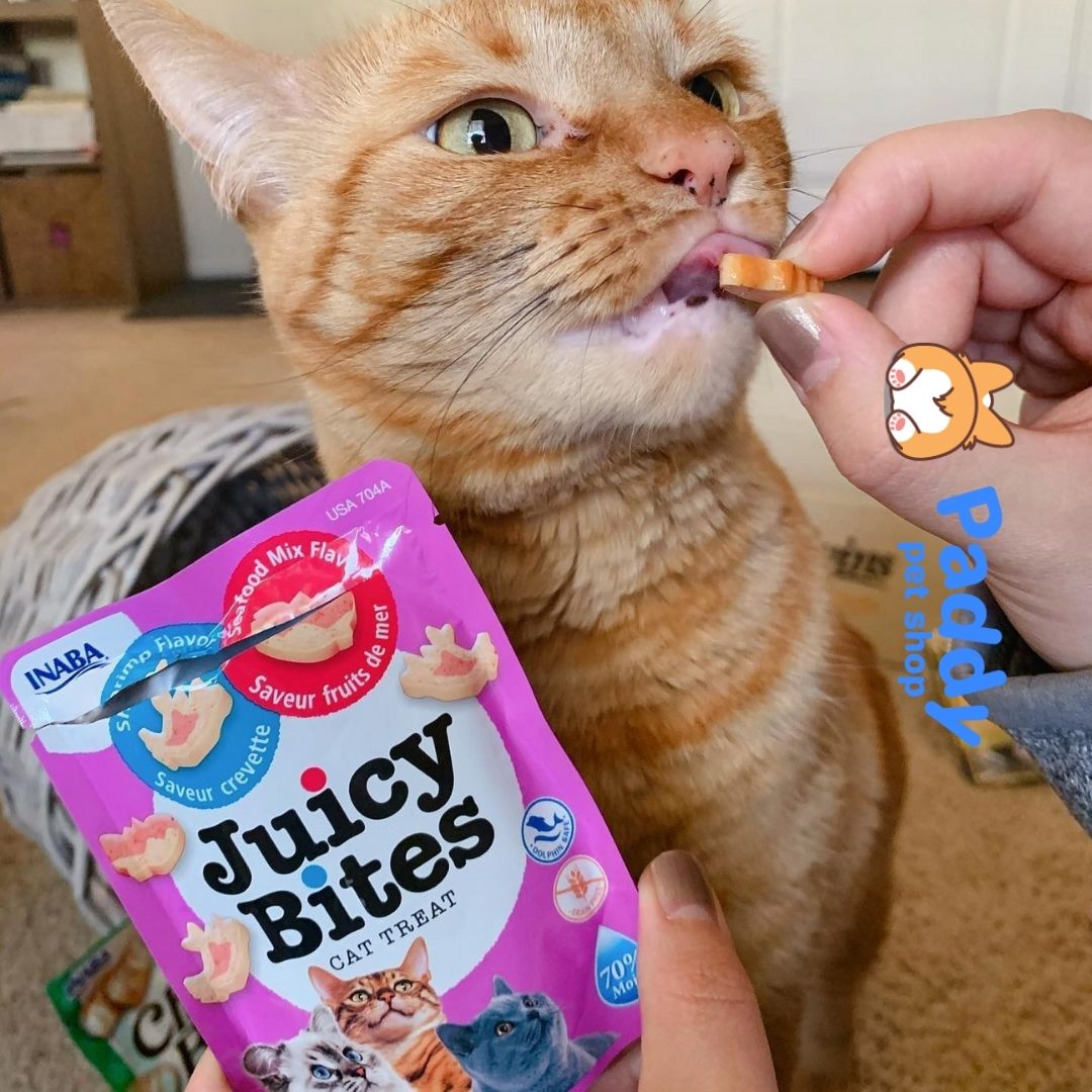 Snack Viên Mềm Juicy Bites Cho Mèo Vị Hải Sản