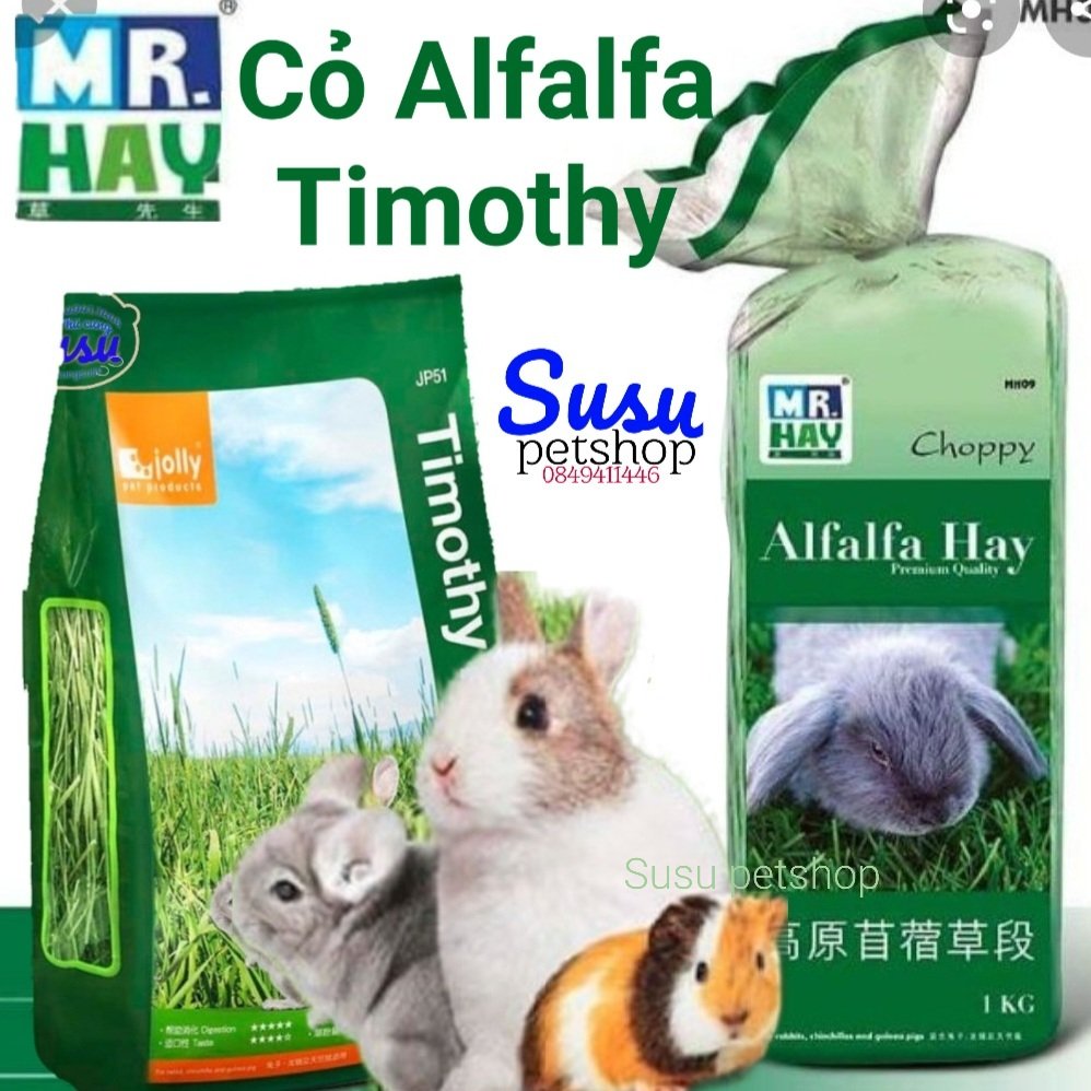 Cỏ alfalfa / timothy cao cấp cho thỏ, bọ, chinchilla - mr.hay