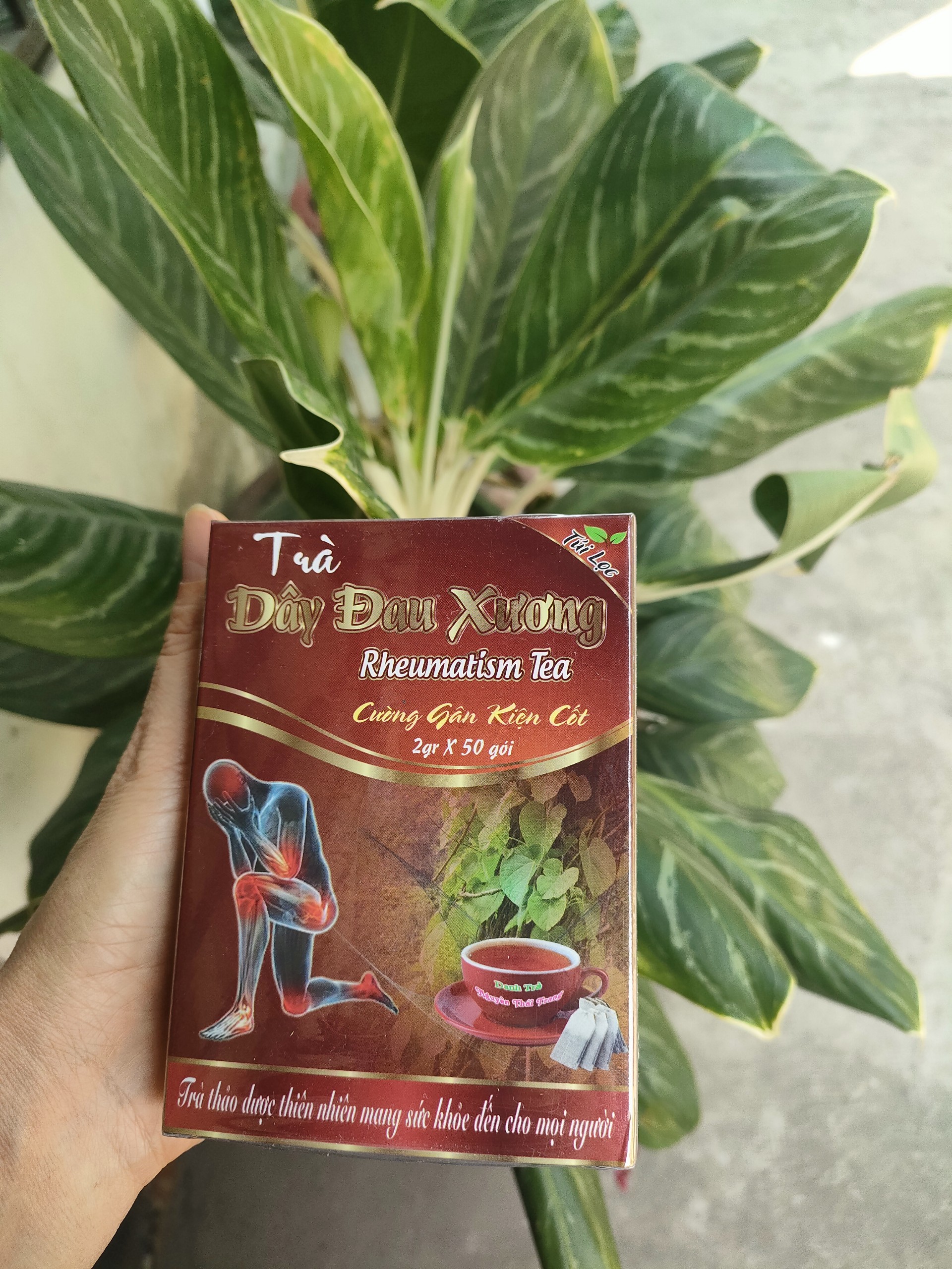 Trà dây đau xương hỗ trợ bệnh thấp khớp - nguyên thái trang – thảo dược thiên nhiên - tốt cho sức khỏe