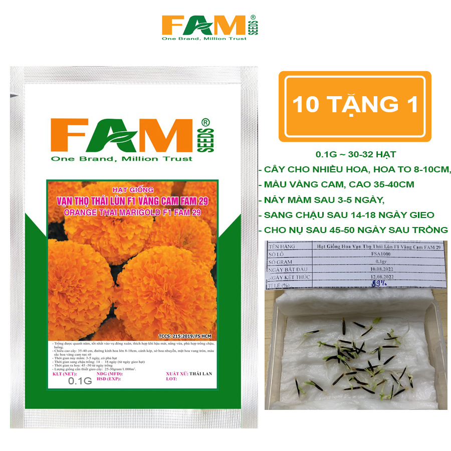 Hạt Giống Hoa Vạn Thọ Thái Lùn F1 Vàng Cam FAM 29 - Nảy Mầm 90%, Cao 30-40cm, Hoa Siêu To 8-10cm, Nở Vung Tròn, Màu Sắc Rực Rỡ, Cho Hoa Sau 60-70 Ngày Gieo