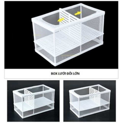 Lồng đẻ và cách ly vải lớn - lồng đẻ cá bảy màu