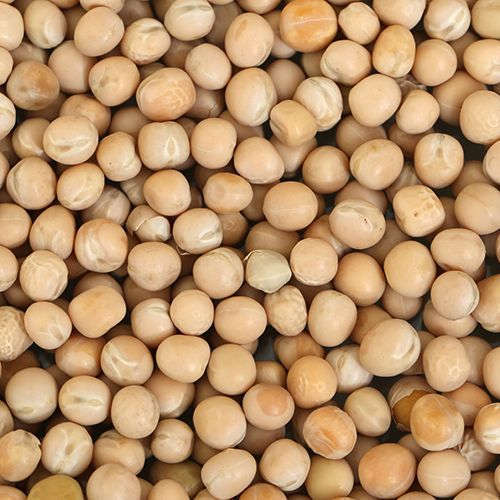 White peas - dry white peas - đậu hà lan trắng khô