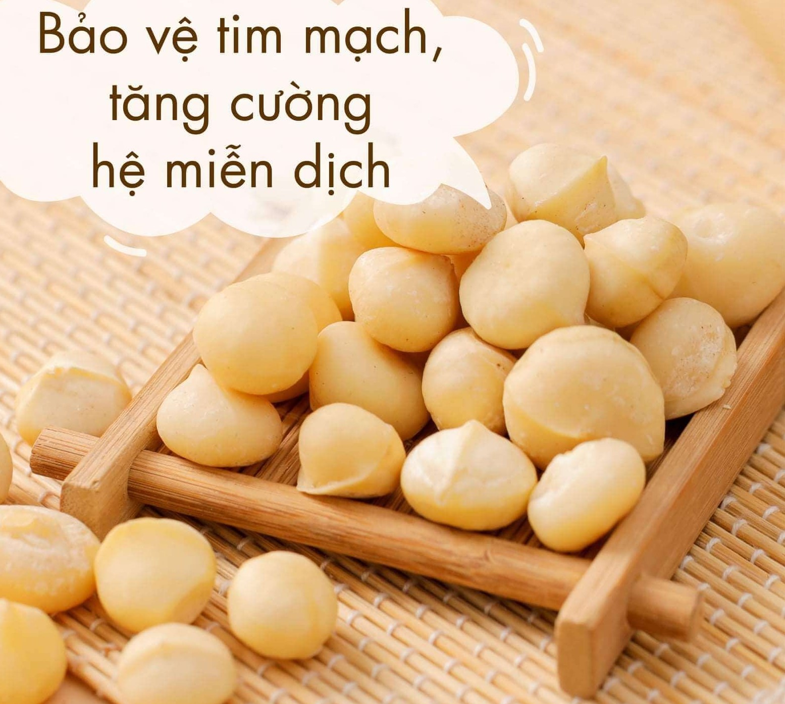Hạt macca sạch đăklăk nhà trồng loại 1 có atvstp hạt mắc ca, mac ca 1 hộp 500g- - hạt to, đều chất lượng chuẩn macca hạt dinh dưỡng nature best