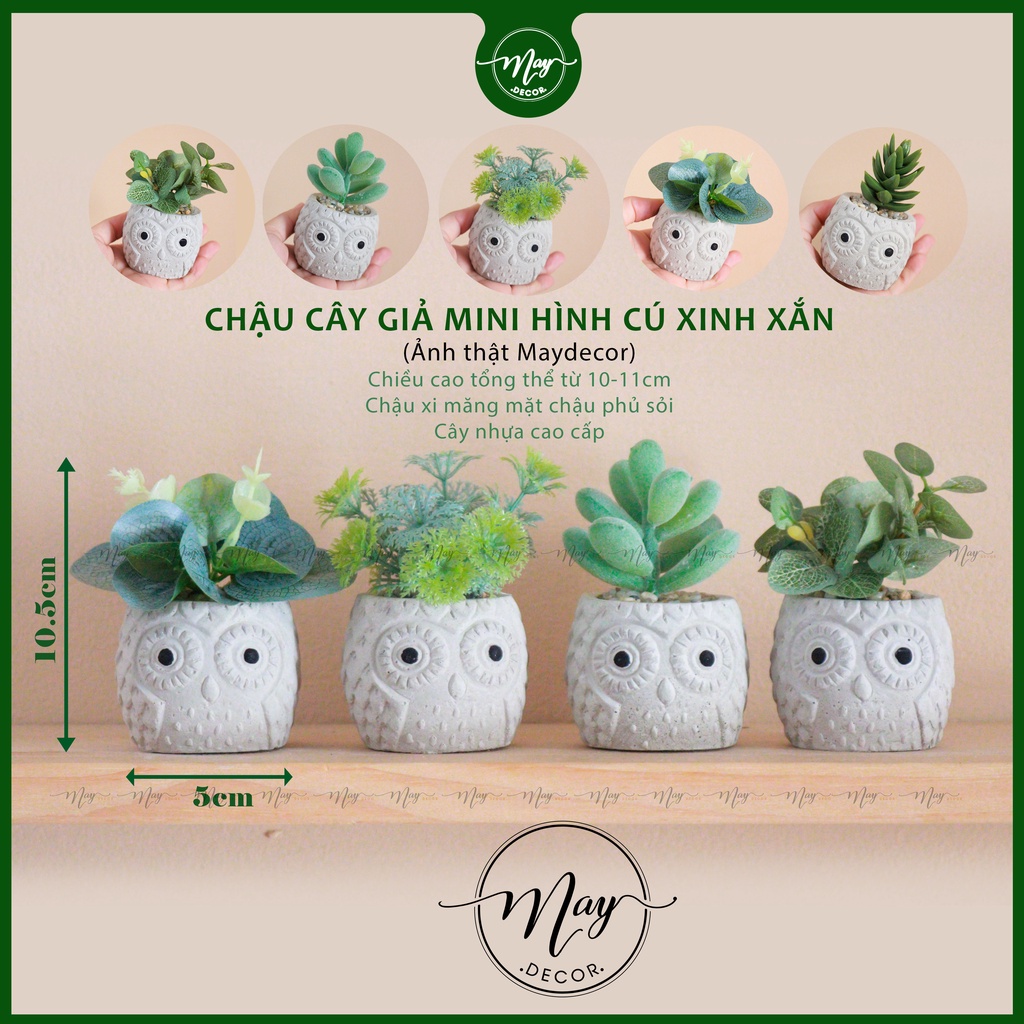 Cây giả mini, chậu xi măng trang trí nhà cửa hình cú xinh xắn
