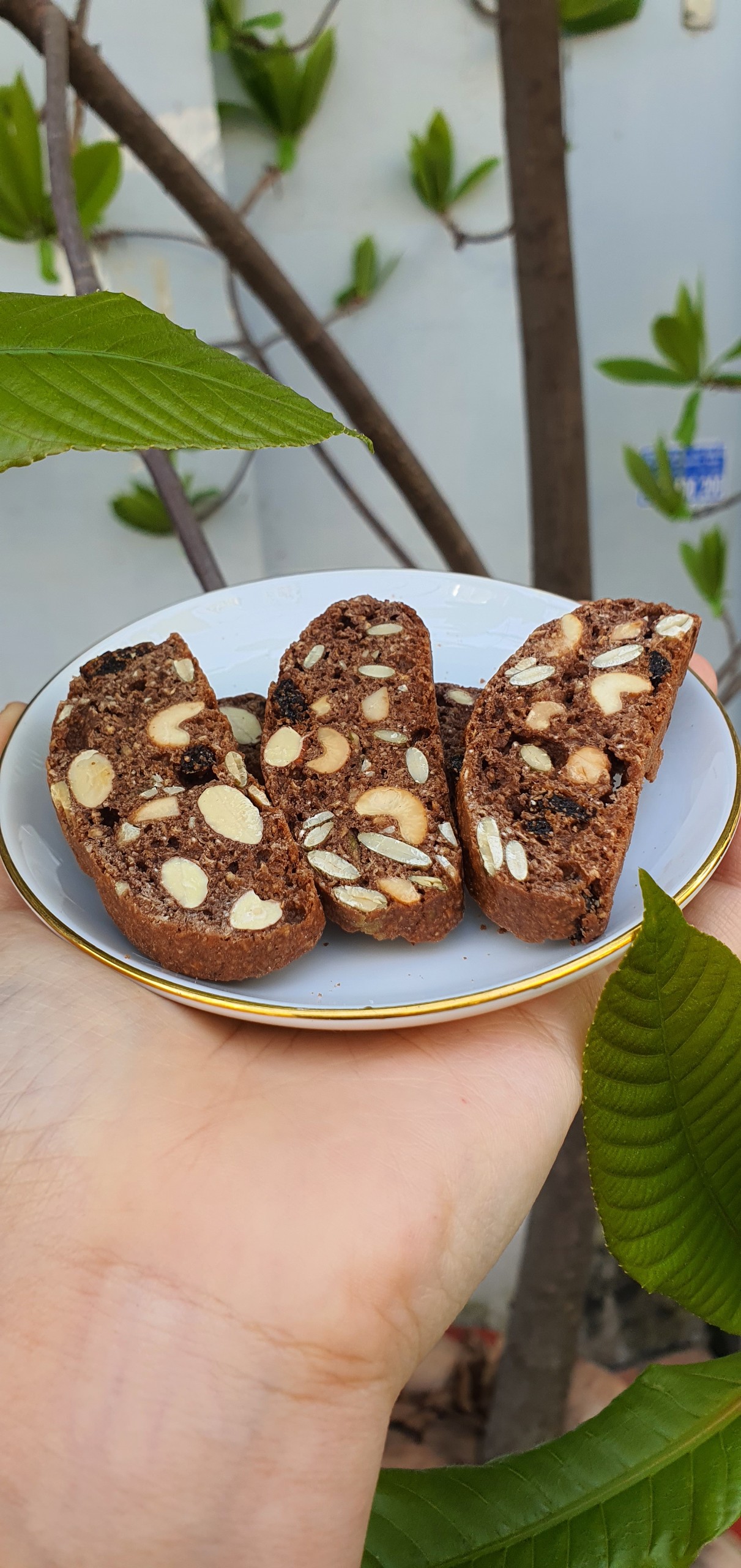 Biscotti chocolate nguyên cám siêu hạt, bánh mì nướng ăn kiêng