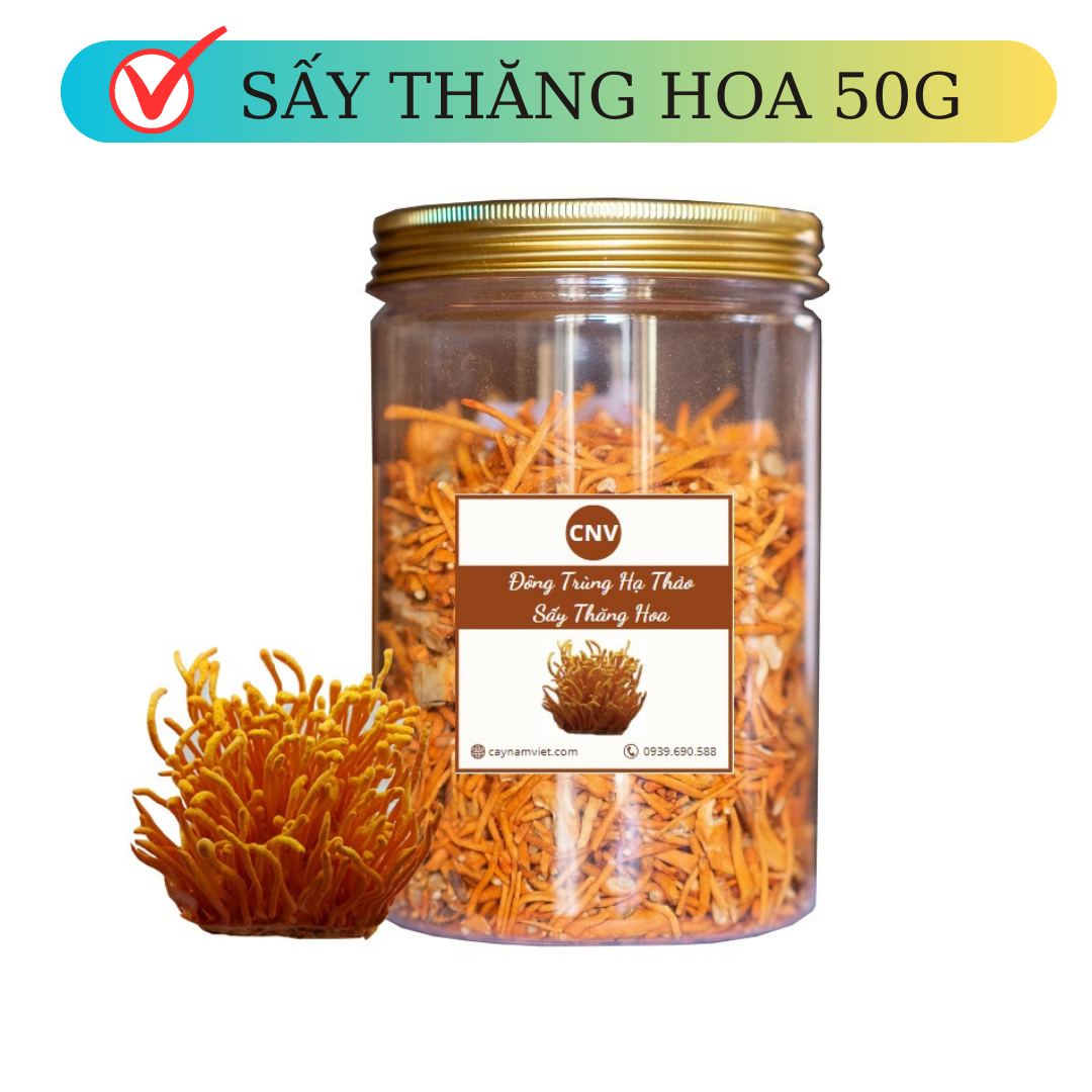 Đông trùng hạ thảo sấy thăng hoa loại vụn 50g - Cây Nấm Việt