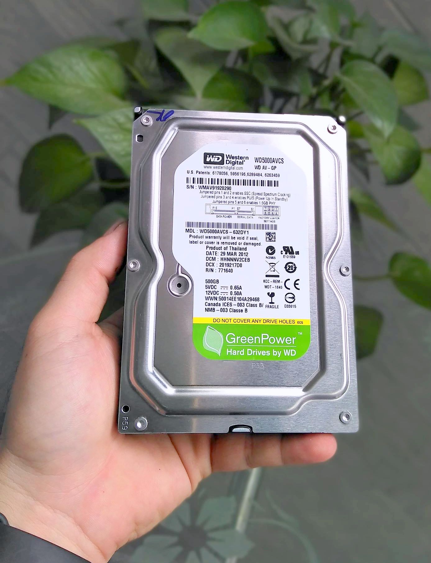 [HCM]Ổ Cứng 500gb Cũ 3.5 inch PC Western Green