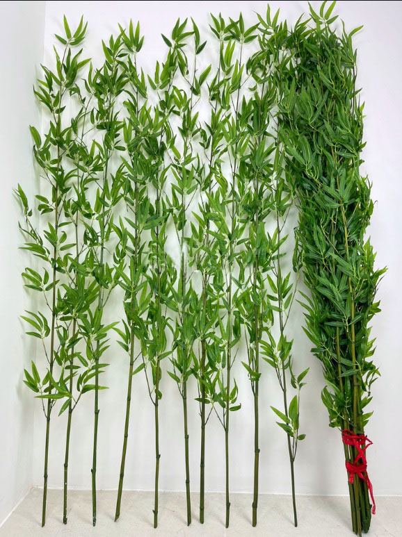 Cây trúc giả ,Trúc quân tử giả, Trúc là nhựa nhiều nhánh như thật