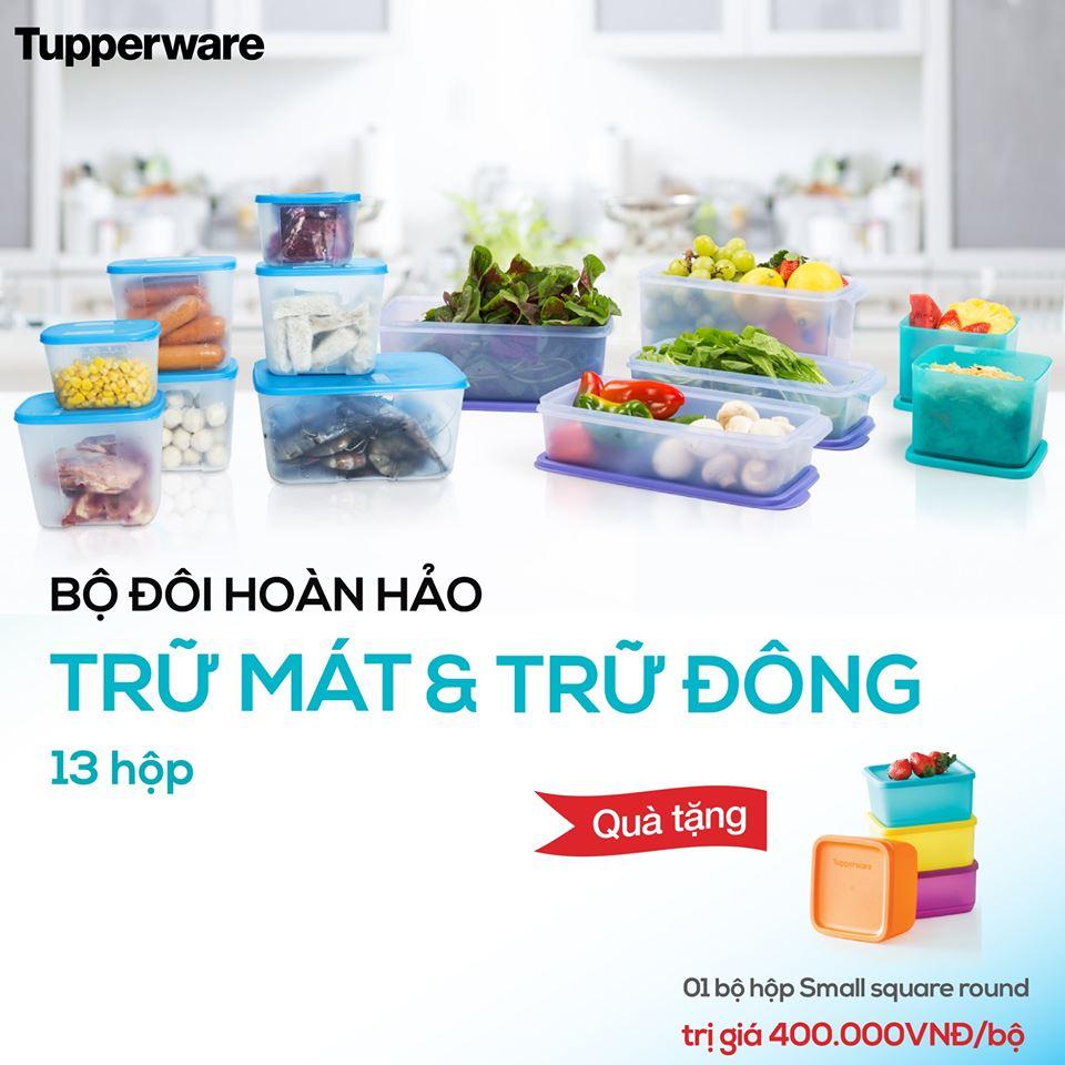 Bộ bảo quản thực phẩm trữ đông và trữ mát Tupperware 17 hộp