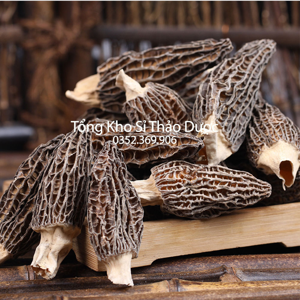 Nấm Bụng Dê 50g ( Nấm quý nấu canh, lẩu nấm, nấm dưỡng sinh, phục hồi sức khỏe)