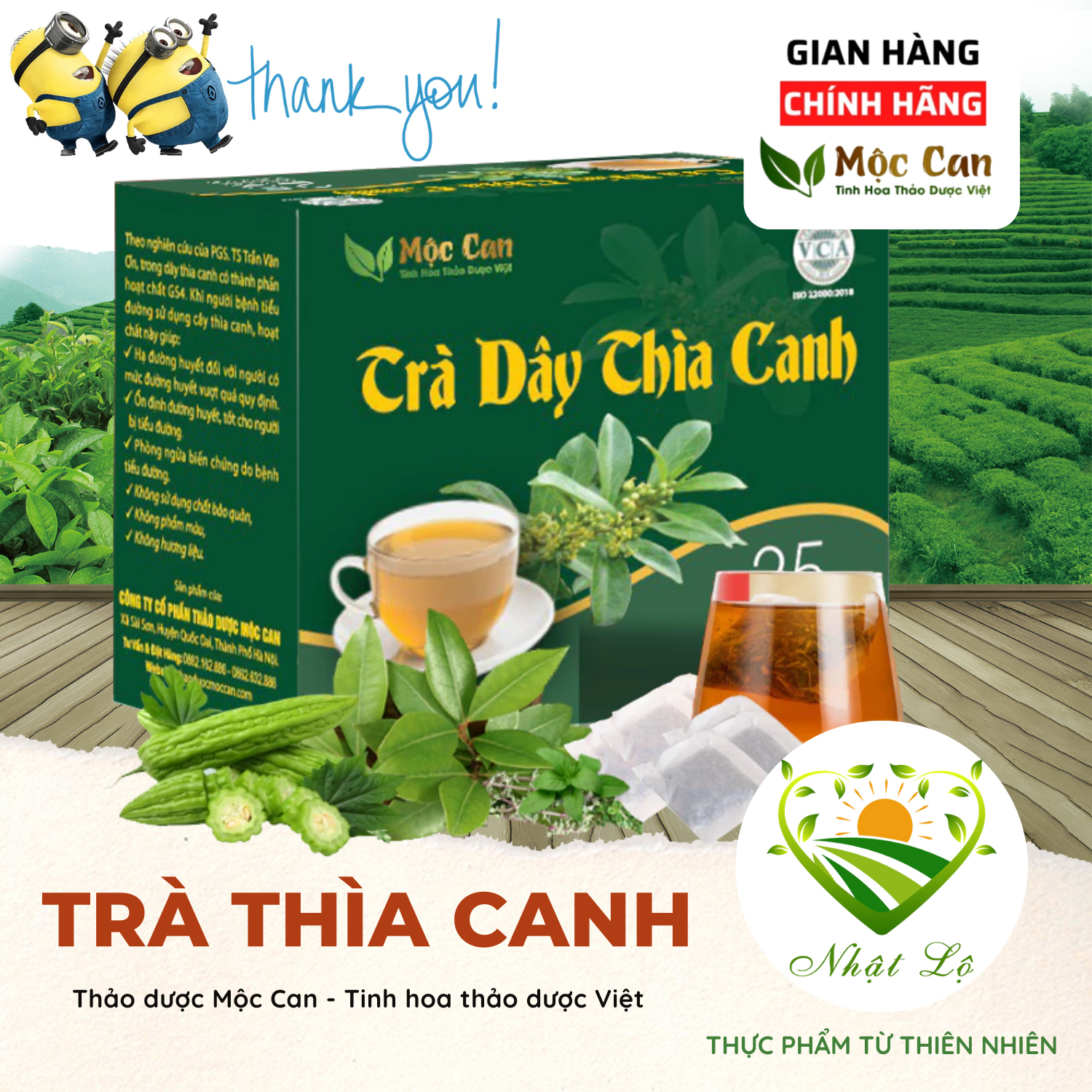 Trà Dây Thìa Canh Túi Lọc Mộc Can hỗ trợ hạ đường huyết, ngưng biến chứng tiểu đường, ổn định đường huyết Nhật Lộ