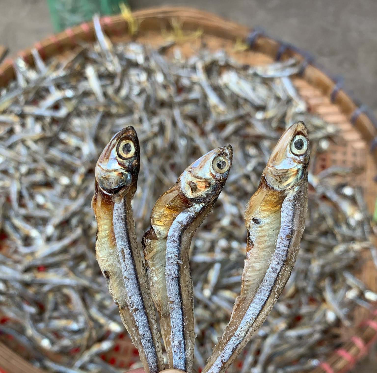 Cá cơm trắng khô, Cá cơm khô rim chua ngọt - Cá cơm khô loại béo Miền Tây, mình dày, bao ngon - Hàng sạch, 100% tự nhiên, hàng Việt Nam Xuất Khẩu.1kg, 500gr, 100gr