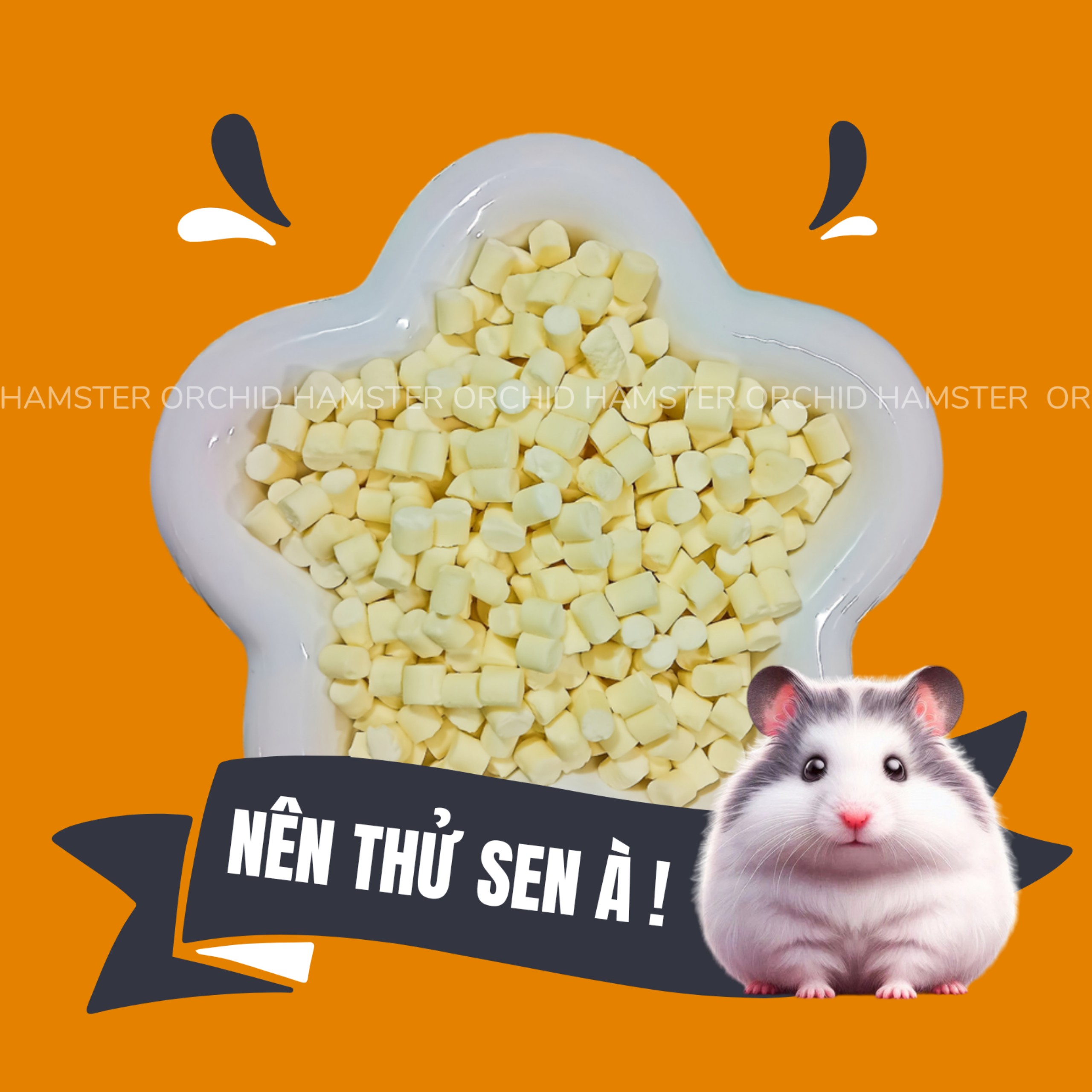Phô Mai Sữa Dành Cho Hamster
