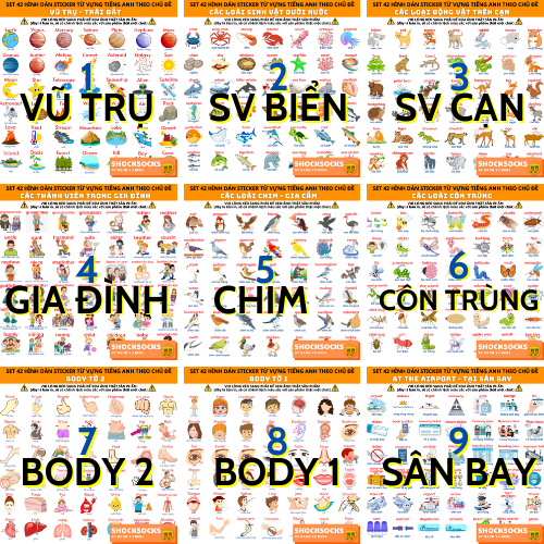 🔥 combo 72 tờ hình dán sticker giúp học từ vựng tiếng anh 🔥