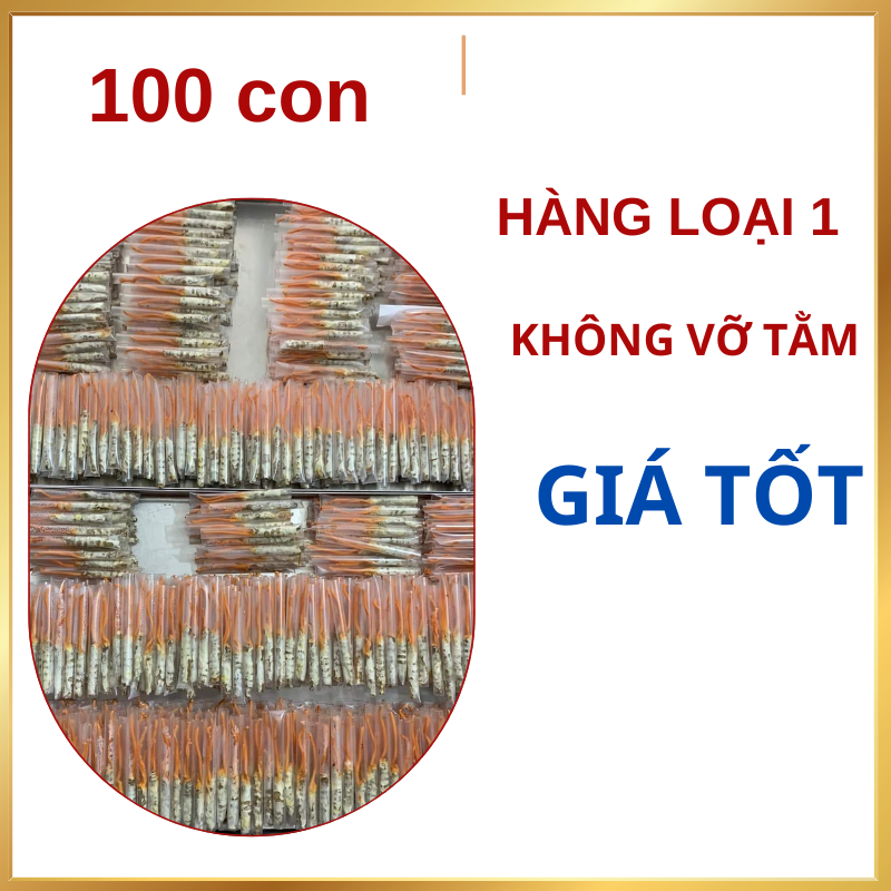Nấm đông trùng hạ thảo Nocovy cấy trên sâu tằm loại thượng hạng dược chất siêu vượt trội