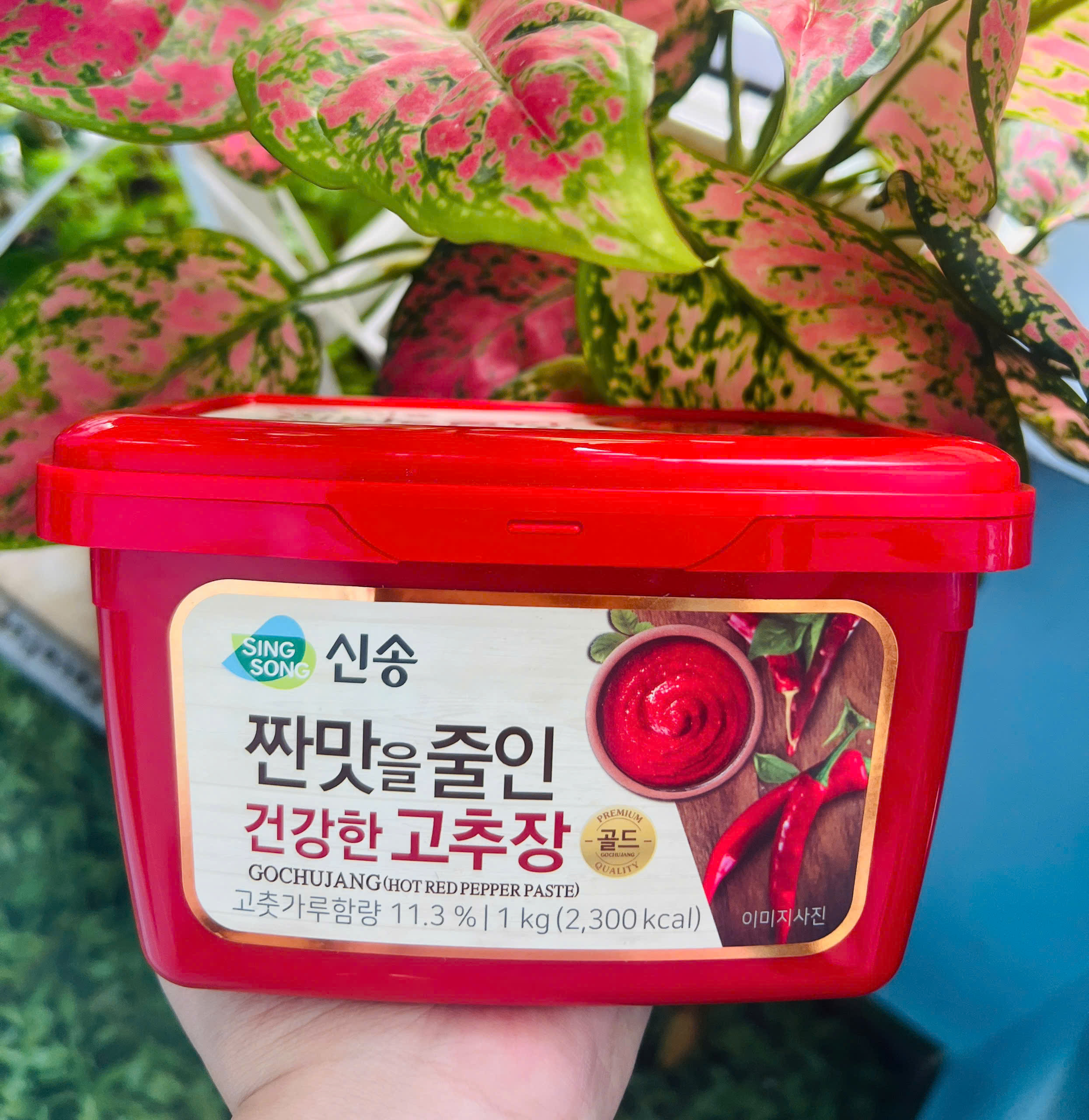 TƯƠNG ỚT GOCHUJANG HÀN QUỐC HỘP 1KG_Doanvatgiasi