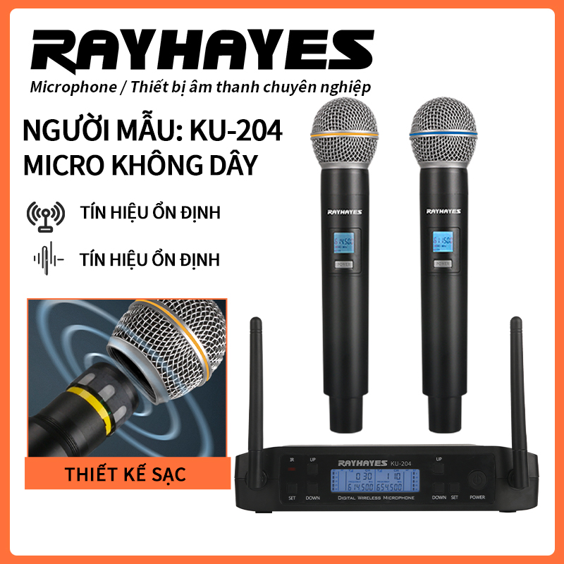 RAYHAYES Micro không dây kép điều chỉnh tần số UHF cho Videoke
