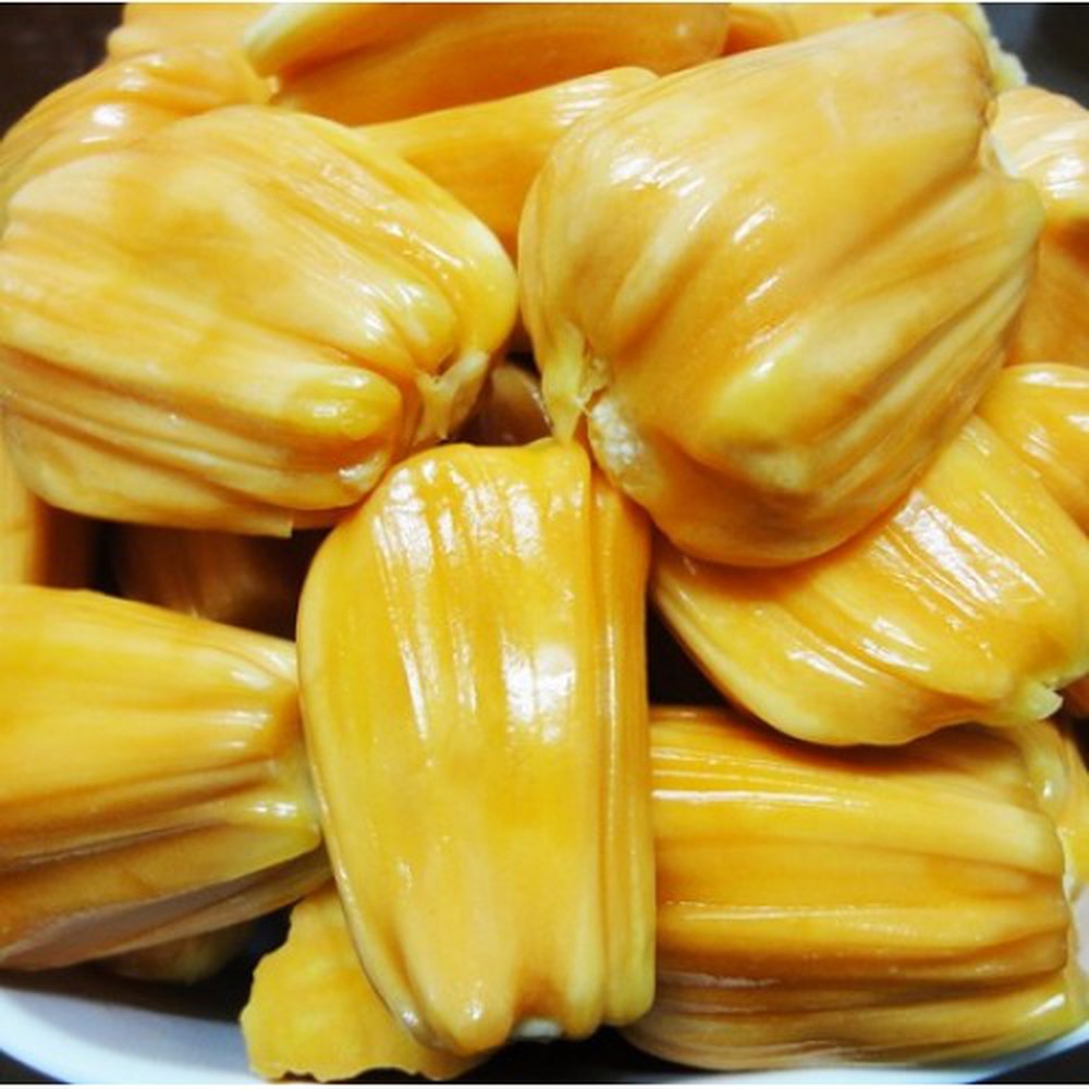 cây MÍT TỨ QUÝ ghép, giống F1 ra quả quanh năm, quả ngon ngọt