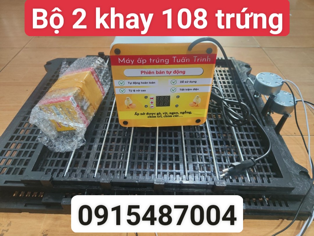 Combo Máy ấp trứng tự động 108 trứng - Tặng kèm pin soi trứng, bóng đèn