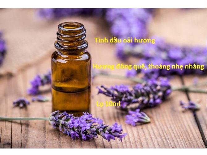 Tinh dầu hoa oải hương Lavender (10ml