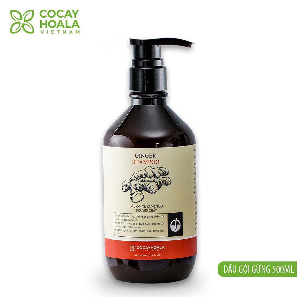 Dầu gội gừng tươi dành cho tóc rụng và khô xơ, kích thích mọc tóc COCAYHOALA (Chai 500ml - Hàng chính hãng)
