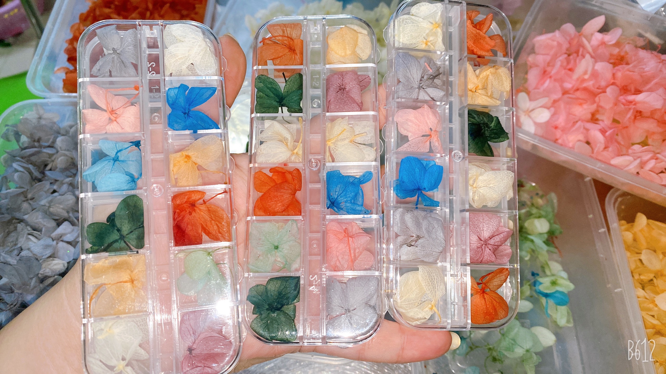 Hoa tú cầu khô trang trí móng tay - Set 12 ô hoa khô nail, cánh hoa to và mỏng đắp ẩn theo phong cách Hàn Nhật