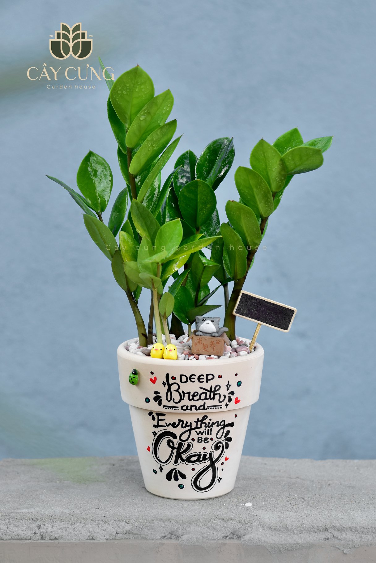 Chậu đất nung vẽ - rộng 11cm, cao 11cm