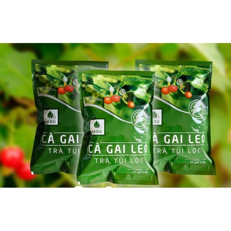 Combo 3 bịch trà túi lọc cà gai leo sadu 250g (gồm 150 túi lọc) mát gan