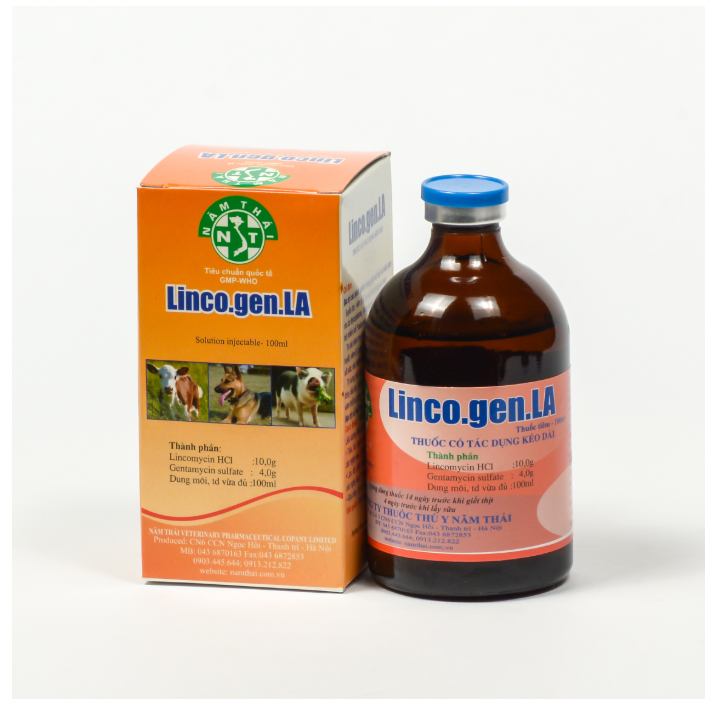 NĂM THÁI LINCO GEN LA100ml các bệnh gây sốt, viêm vú, viêm tử cung, thối móng, sưng phù đầu, crd ccrd gà, ci