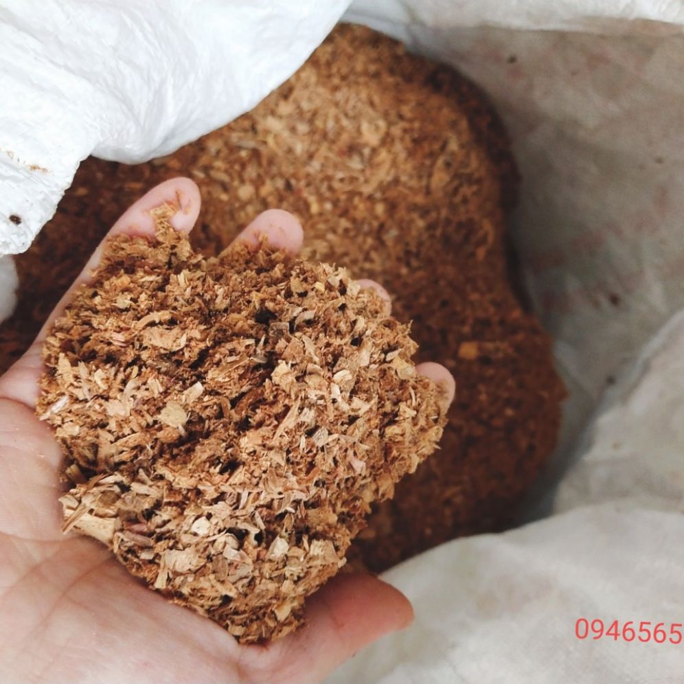 1kg vụn gỗ bách xông nhà, làm hương, làm gối... thơm ngát