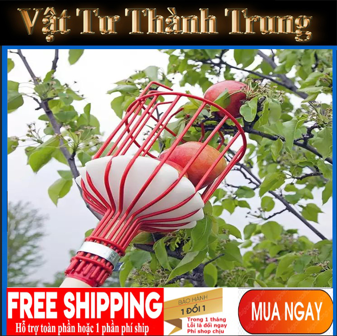 Đầu hái quả trên cao ,đầu giật hoa quả trên cao không kèm gậy- Kéo hái quả trên cao