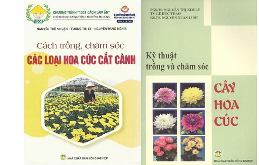 Sách - Combo Cách Trồng Chăm Sóc Các Loại Hoa Cúc Cắt Cành - Kỹ Thuật Trồng Và Chăm Sóc Cây Hoa Cúc