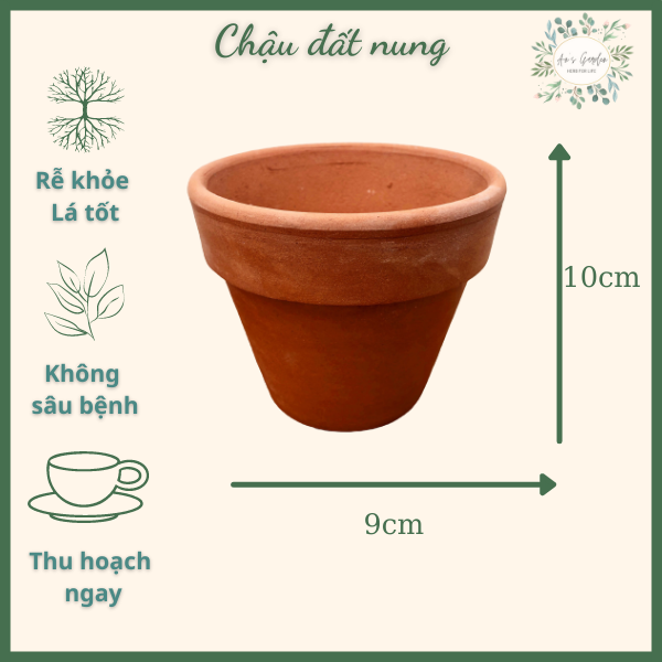 Chậu Gốm đất nung size trung 9x10cm