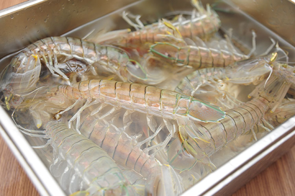 HCM - Tôm Tít Hấp Nguyên Con 1Kg