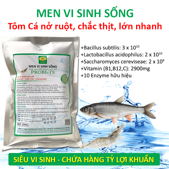 Men vi sinh sống vỗ béo Tôm Cá. Nở ruột, chắc thịt, lớn nhanh. Chứa hàng tỷ lợi khuẩn. Ngăn ngừa các bệnh về đường ruột