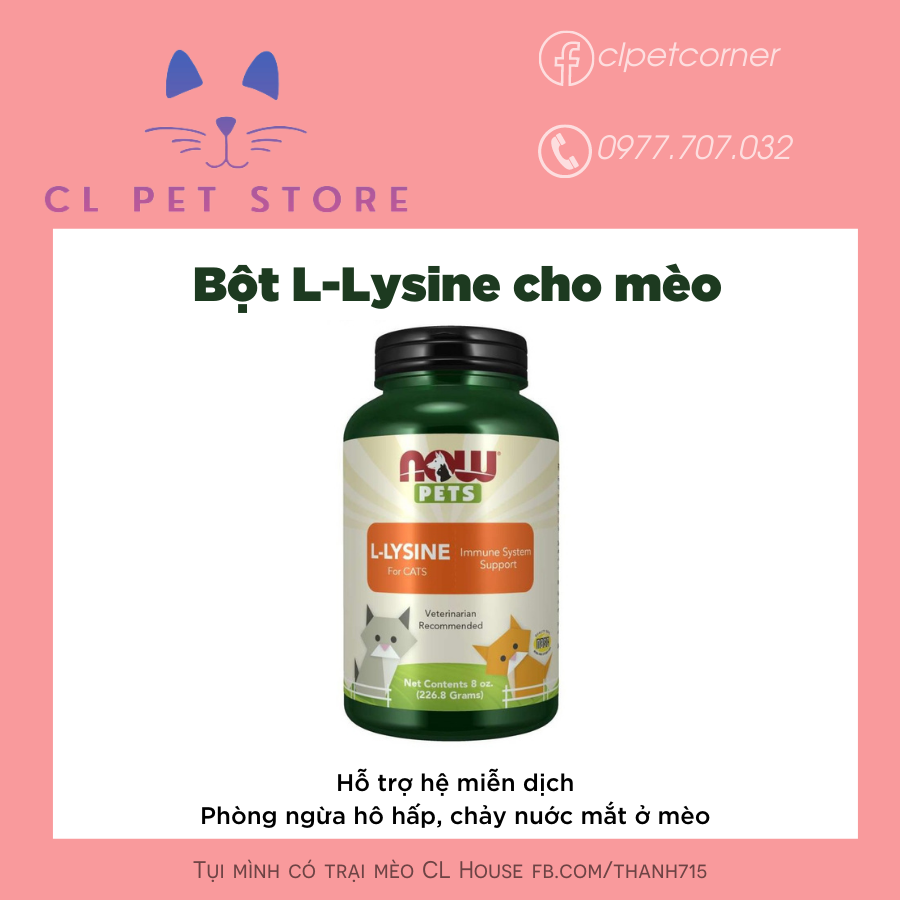 L-Lysine Now Pets hỗ trợ tăng đề kháng tăng hệ miễn dịch cho chó mèo