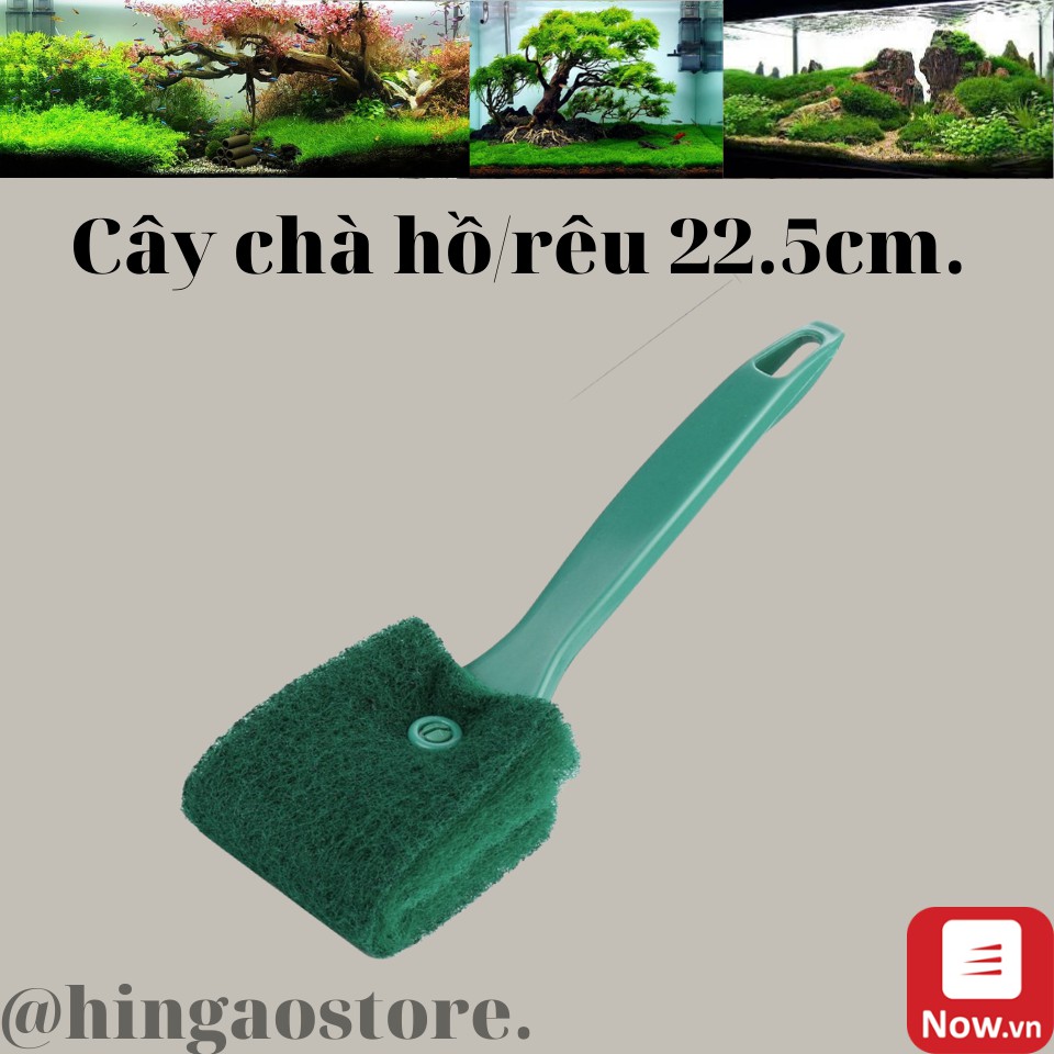 Lau kính hồ cá - dụng cụ vệ sinh chà hồ cho bể cá 22cm