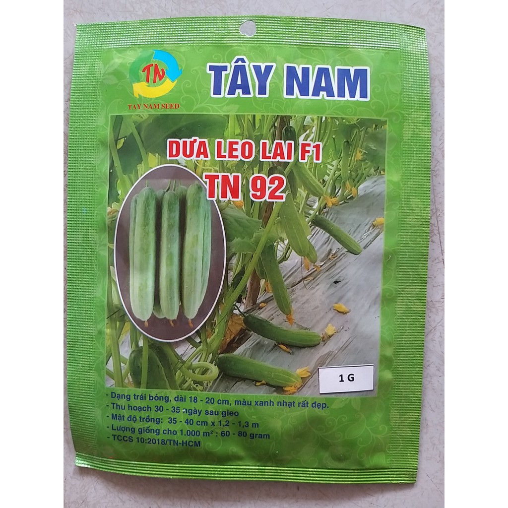 Hạt giống dưa leo Tây Nam TN92