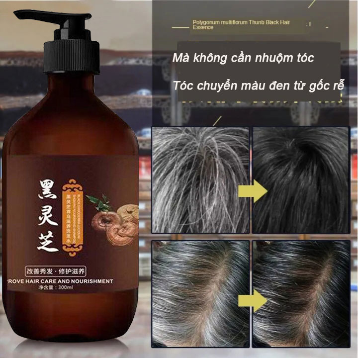 Dầu gội mọc tóc linh chi đen chống rụng tóc dầu gội mọc tóc nhanh chóng dầu gội mọc lại tóc thảo mộc thiên nhi