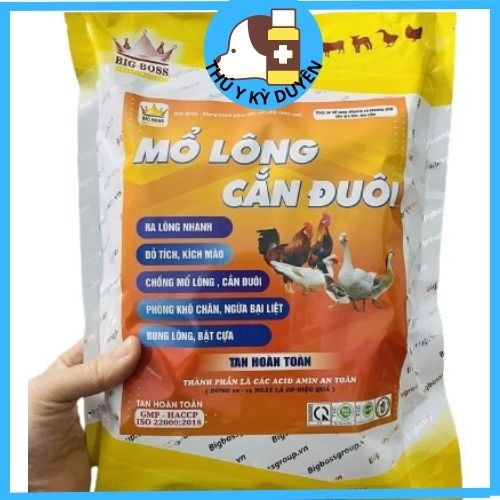 MỔ LÔNG CẮN ĐUÔI